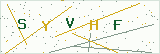 Security verification image